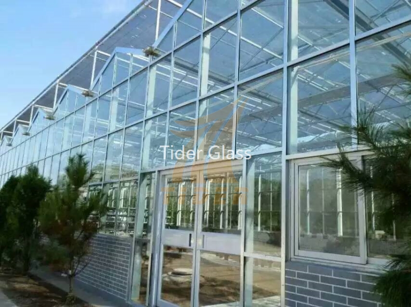 Greenhouse Glass